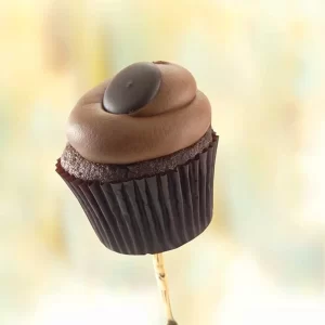 foto con il chocolate on chocolate cupcake